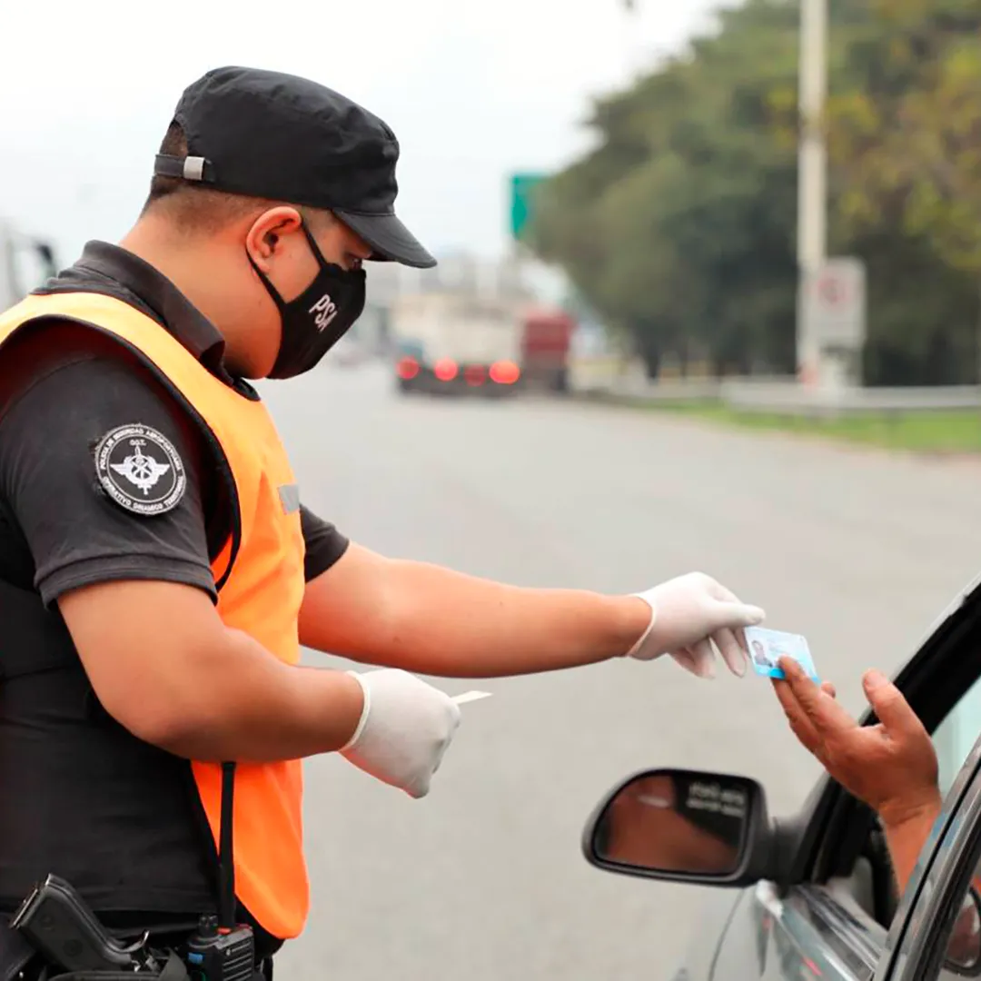 Protocolo REPROCANN ante controles policiales y allanamientos