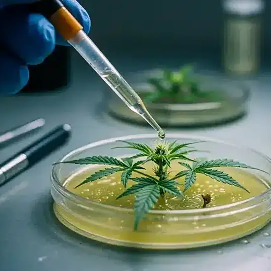 Vinculación y Respaldo Médico-Científico